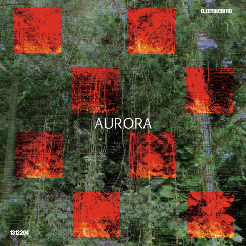 Unit Garage Rock Surabaya, Electric Bird Rilis Single 'Aurora' Kritik Keras Kerusakan Alam